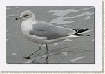 09c PAFB Beach * 612 x 401 * (33KB)